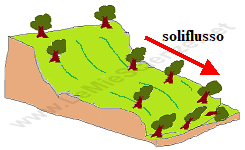 Soliflusso